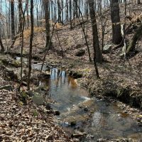 101.5 acres in Harris County with Two Lakes images 5