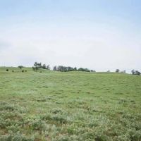 The Dillon Ranch images 4