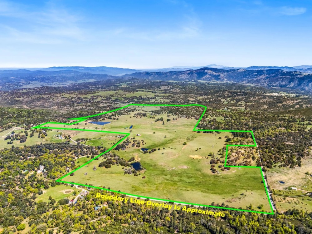 Oak Ridge Stock Farm featured image