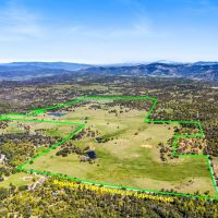 Oak Ridge Stock Farm