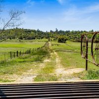 Oak Ridge Stock Farm images 3
