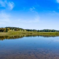 Oak Ridge Stock Farm images 4