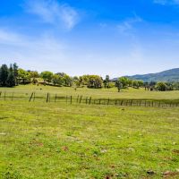 Oak Ridge Stock Farm images 5