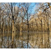 Greentree Hunting Club images 3