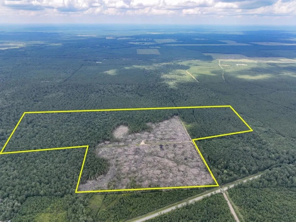 128 Acres Old Honey Island Road featured image