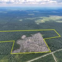128 Acres Old Honey Island Road