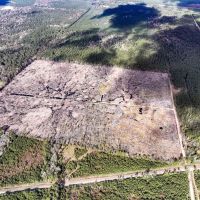128 Acres Old Honey Island Road images 2