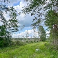 128 Acres Old Honey Island Road images 3