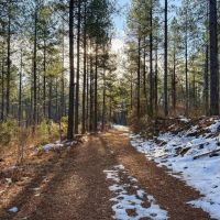 Mount Sion images 3