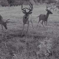 Mount Sion images 4
