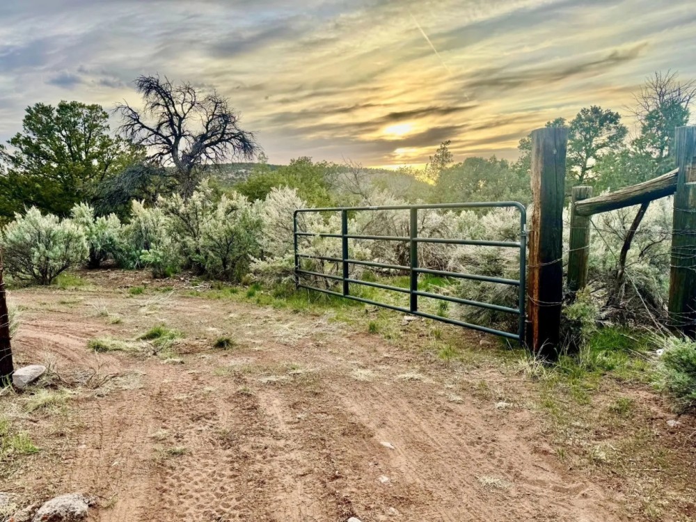 Glade Park featured image