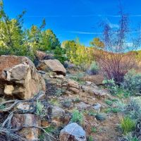 Glade Park images 4