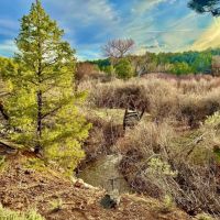 Glade Park images 5