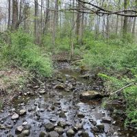 Etown Woodlands images 2