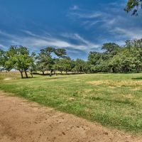 49.48 acres Weimar TX Colorado County images 4