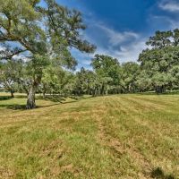 49.48 acres Weimar TX Colorado County images 5