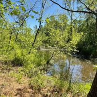 - 36.37 Acres on 440 Mt. Carmel Road in Abbeville SC images 3