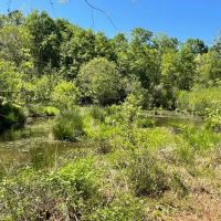 - 36.37 Acres on 440 Mt. Carmel Road in Abbeville SC images 4