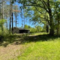 - 36.37 Acres on 440 Mt. Carmel Road in Abbeville SC images 5