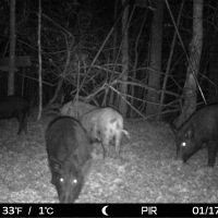5700 acre washington county club