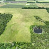 Scenic Wooded Acreage For Sale in Northeast Texas