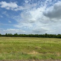 Scenic Wooded Acreage For Sale in Northeast Texas images 2