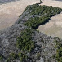 Scenic Wooded Acreage For Sale in Northeast Texas images 4