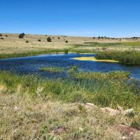 Hi Lo Springs Ranch