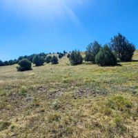 Hi Lo Springs Ranch images 3