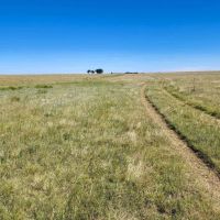 Hi Lo Springs Ranch images 5