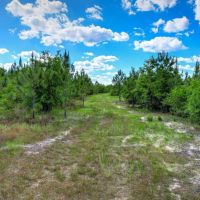 507 A Recreational Tract Aiken SC images 5