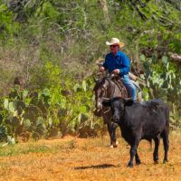 Chilipitin Creek Ranch images 2