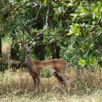 New Listing 20.02 Acres Comanche County