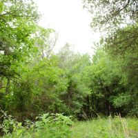 New Listing 20.02 Acres Comanche County images 2