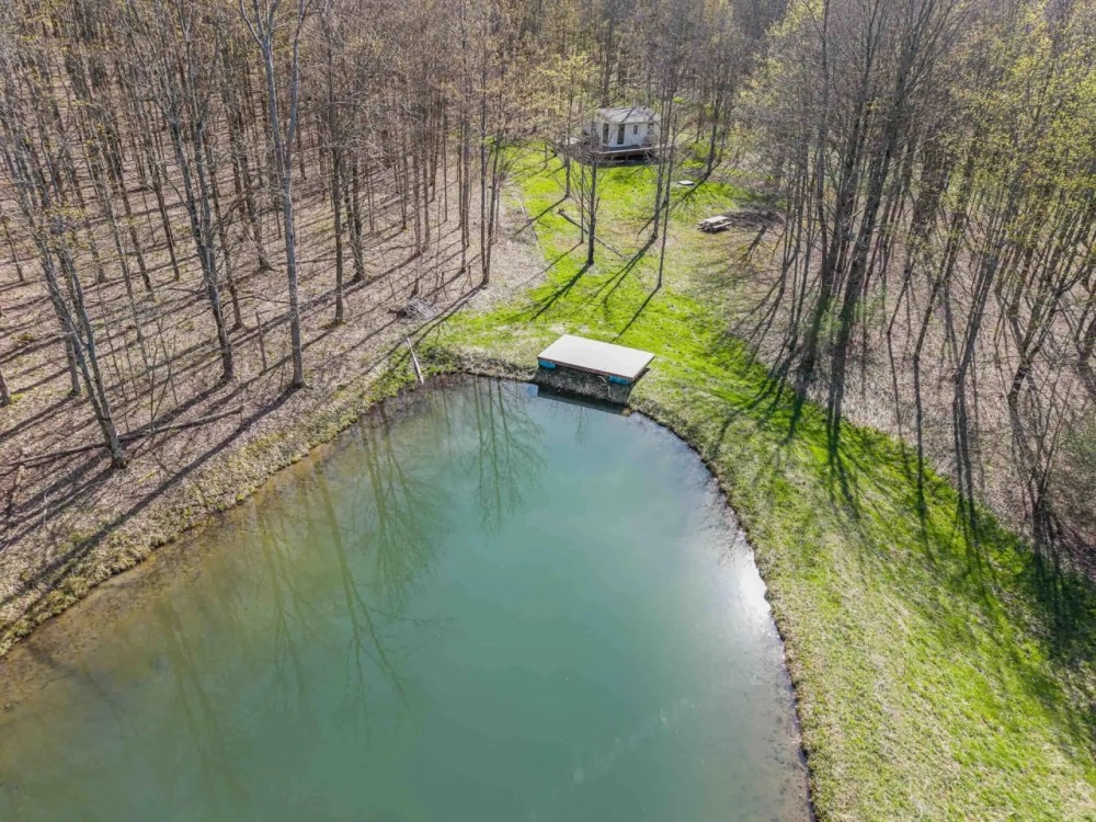 49 acres Off Grid Cabin Retreat with Pond in Greenwood NY 3882 Hurd Rd featured image