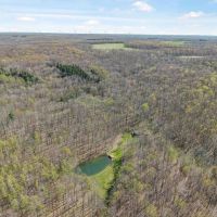 49 acres Off Grid Cabin Retreat with Pond in Greenwood NY 3882 Hurd Rd images 2