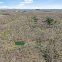 49 acres Off Grid Cabin Retreat with Pond in Greenwood NY 3882 Hurd Rd images 3