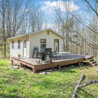 49 acres Off Grid Cabin Retreat with Pond in Greenwood NY 3882 Hurd Rd images 5