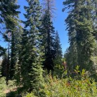Red Mountain Basin images 4