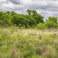 Lowe Ranch images 5