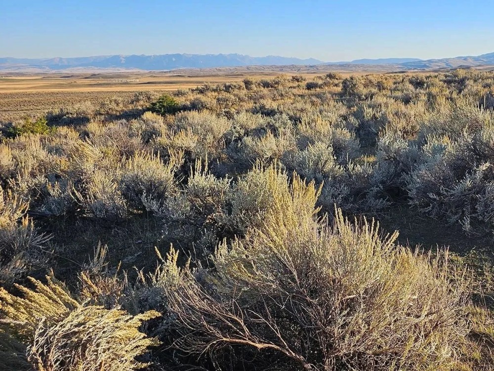 Shields Valley View Ranch featured image