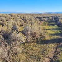 Shields Valley View Ranch images 5