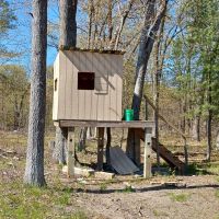 20.41 Acre Sportsman Paradise Juneau County WI images 3
