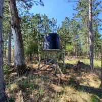 20.41 Acre Sportsman Paradise Juneau County WI images 4