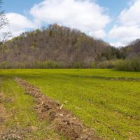 Timeless Tennessee Farm 66 Acres at Absolute Auction with No Reserve