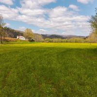 Timeless Tennessee Farm 66 Acres at Absolute Auction with No Reserve images 3