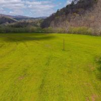 Timeless Tennessee Farm 66 Acres at Absolute Auction with No Reserve images 4