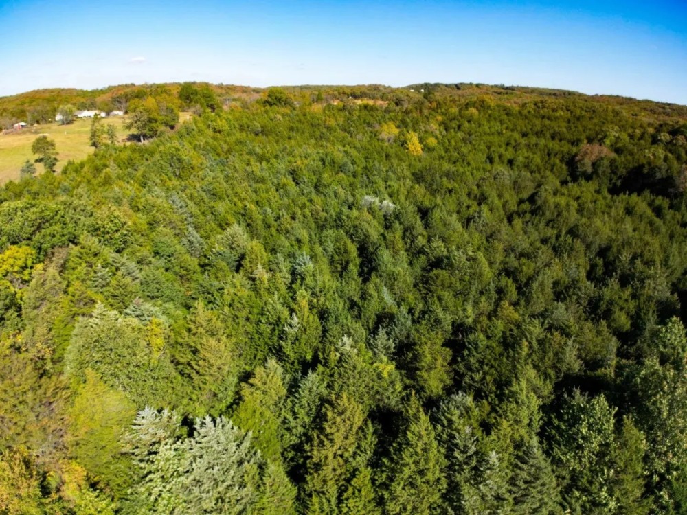 Land For Sale in Missouri featured image