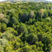 Land For Sale in Missouri images 2