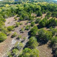 Land For Sale in Missouri images 4